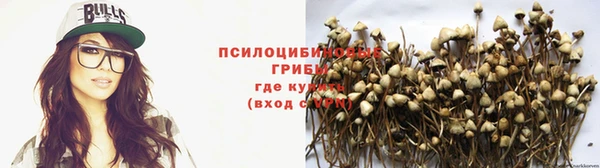 герыч Богородицк