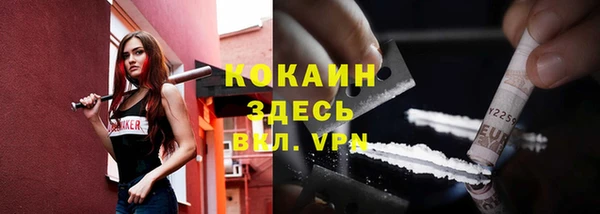 мяу мяу мука Арсеньев