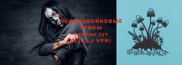 синтетический гашиш Богородск