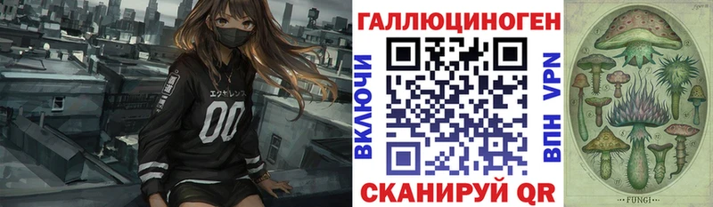 Псилоцибиновые грибы Psilocybe  купить наркотики сайты  Новомосковск 